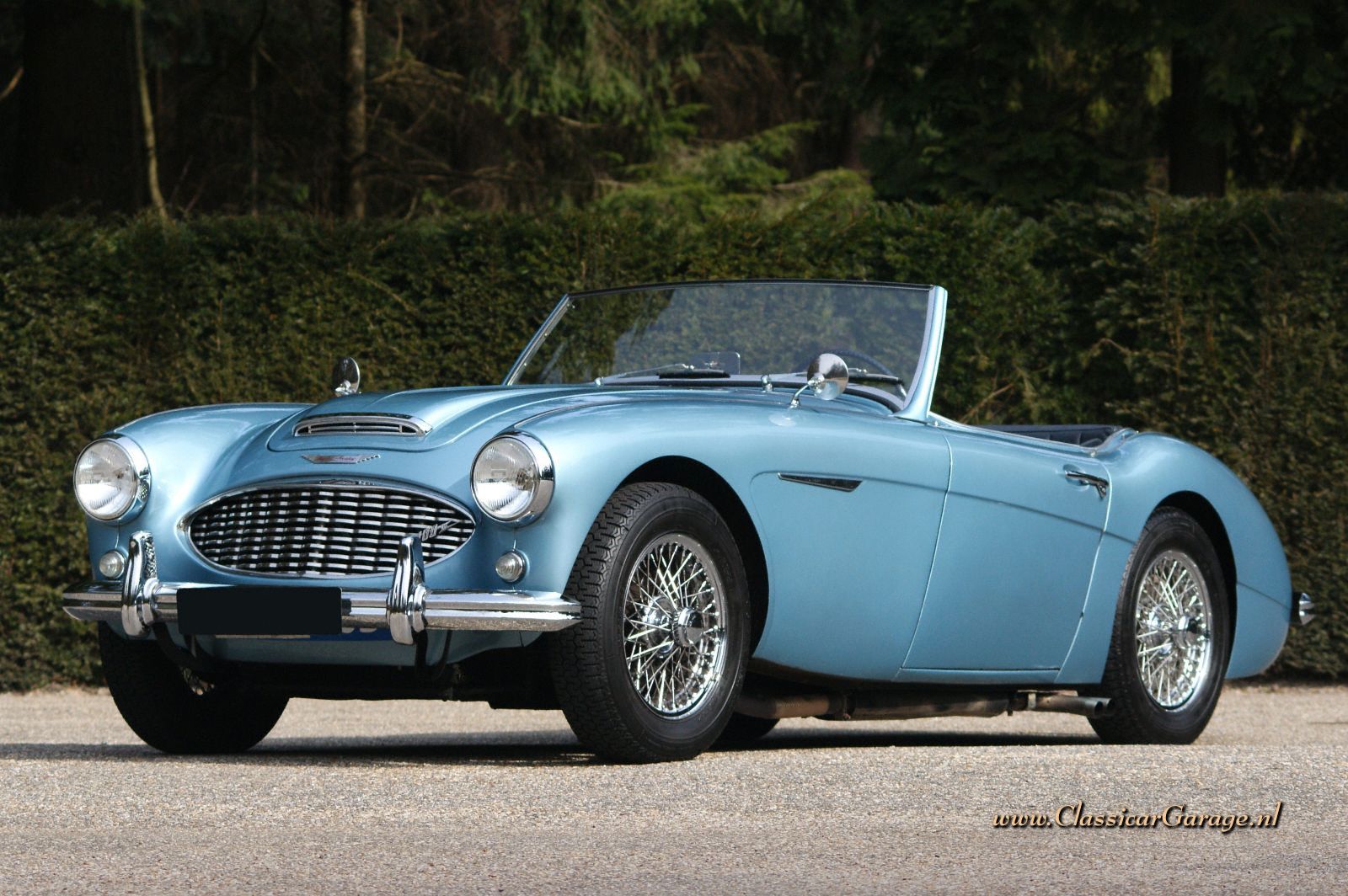 Austin Healey 100/6 BN-4, 1958 details